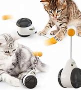 Image result for Best Catnip Toys for Cats