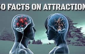 Image result for Biology of Human Attraction