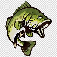Image result for Free Bass Clip Art