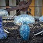 Image result for Glass Garden Mushrooms