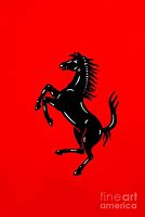 Image result for Ferrari Horse