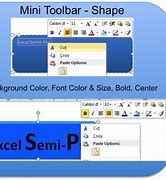 Image result for Mini Toolbar
