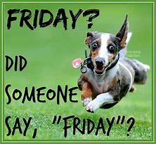 Image result for Friday Damn Funny