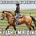 Image result for Equestrian Memes
