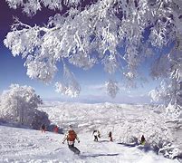 Image result for Nagano Japan Winter