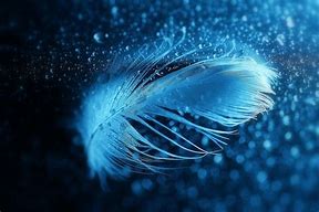 Image result for Light Brown Wallpaper Feather