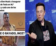 Image result for Tesla Monterrey Memes