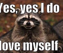 Image result for Raccoon Love Meme