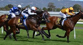 Image result for Professional Horse Jockey