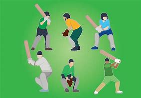 Image result for Cricket Catching Vector