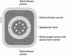 Image result for Apple Watch Buttons