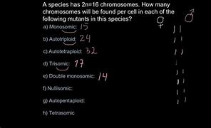 Image result for Chromosome Ploidy Equation