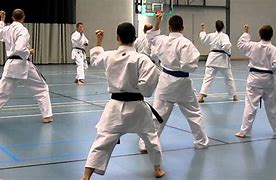 Image result for Wado Ryu Karate GI
