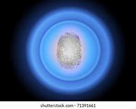 Image result for iPhone 11 Fingerprint