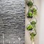 Image result for Wall Plant Hangers Indoor