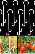 Image result for Tomato Tie Clips