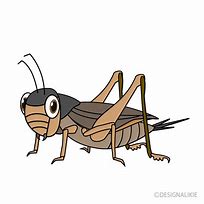 Image result for Cricket Cartoon with Crooked Teeth