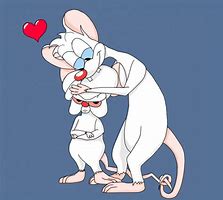 Image result for Pinky and the Brain Kissing Comic