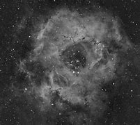 Image result for The Rosette Nebula