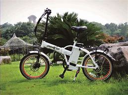 Image result for Folding Electric Bike