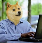 Image result for Know Your Meme Doge