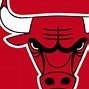 Image result for Evolution of Chicago Bulls Logo