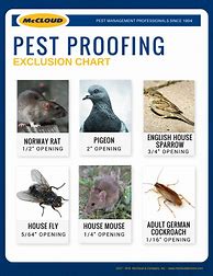 Image result for Pest Proofing