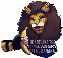 Image result for Angry Cat No Banana
