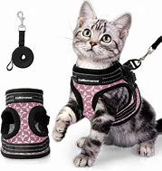 Image result for Easy On Cat Harness