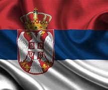 Image result for Kosovo is Serbia Flag