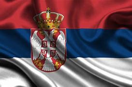 Image result for Serbia Flag Logo