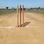 Image result for Cricket Pitch Side View