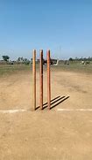 Image result for Wicket Cricket Stumps