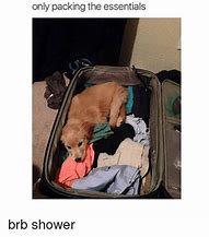 Image result for Packing the Essentials Meme