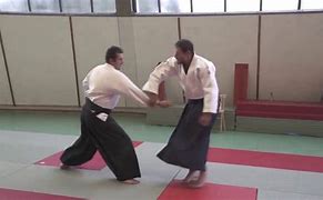 Image result for Aikido Tenkan