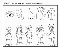 Image result for Senses See Coloring Pages