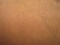 Image result for Tan Robe Texture