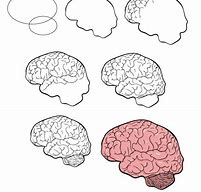 Image result for Brain Drawing Template