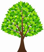 Image result for Tree Cartoon Transparent