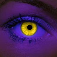 Image result for Eye Color Contact Lenses