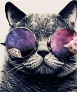 Image result for Cat with Sunglasses Galaxy