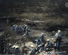 Image result for Verdun Dead