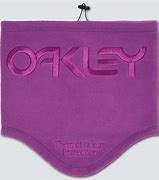 Image result for Oakley Carabiner