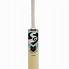 Image result for Cricket Sport Equipment