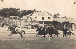 Image result for 1800s Horse and Rider