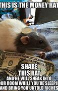 Image result for Funny Looking Rat Meme