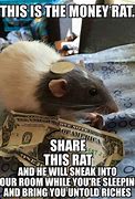 Image result for Rat Meme Miami