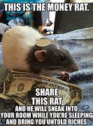 Image result for Rat Dog Meme