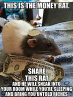 Image result for Cheers Rat Meme