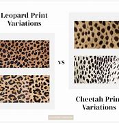 Image result for Leopard and Cheetah Print